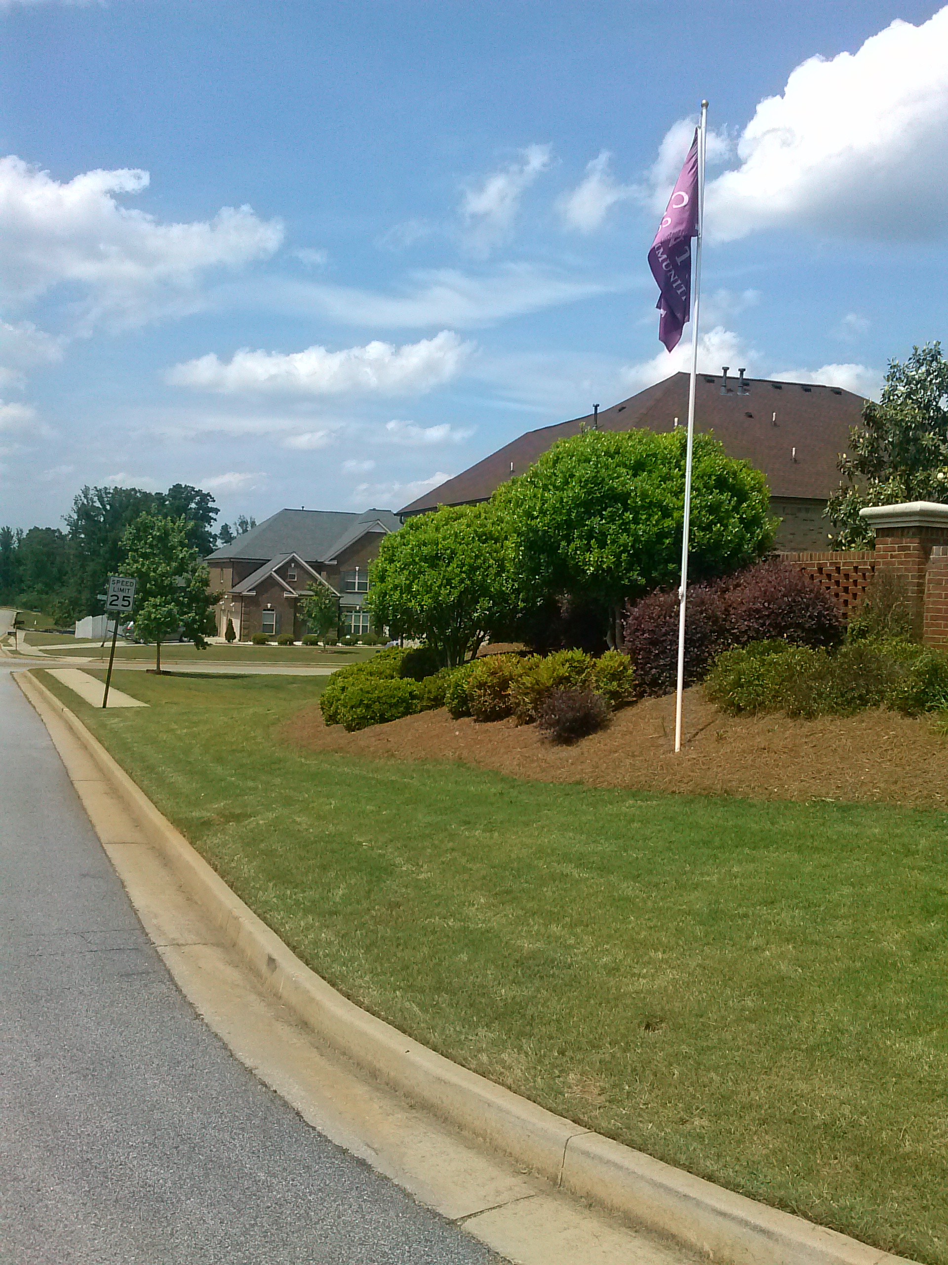 Maintained lawn and plants in Jonesboro, GA
