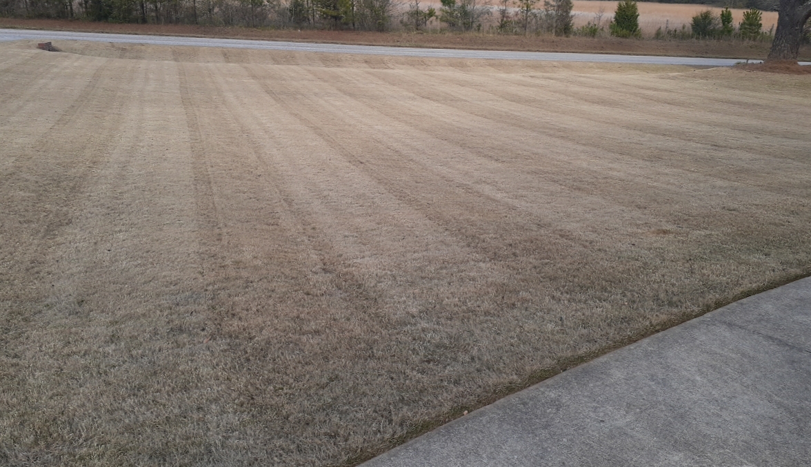 A lawn with no weeds in Stockbridge, GA